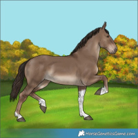 Horse Color:Liver Red Dun Tobiano Rabicano 