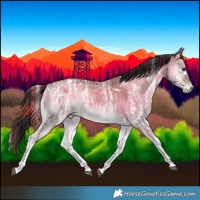 Horse Color:Plaid  White Spotted Liver Red Dun Ice Onyx Tobiano Brindle 