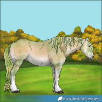 Horse Color:Watercolor Plaid  Liver Red Dun Ice Onyx Tobiano Brindle 