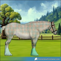 Horse Color:Plaid Chocolate Palomino Roan Dun Rabicano
