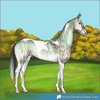 Horse Color:Plaid  Liver Red Onyx Ice Tobiano 