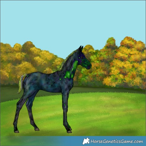 Horse Color:ERROR: UNKNOWN ANOMALY