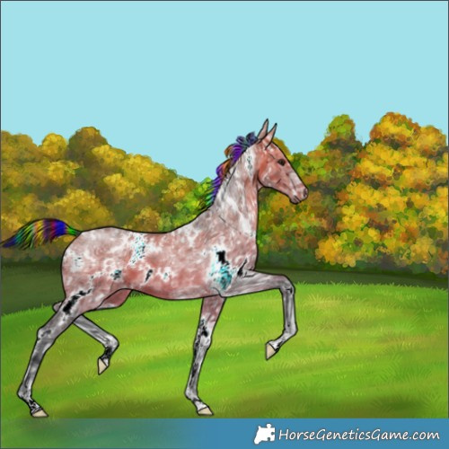 Horse Color:Painted White Spotted Bay Ice 