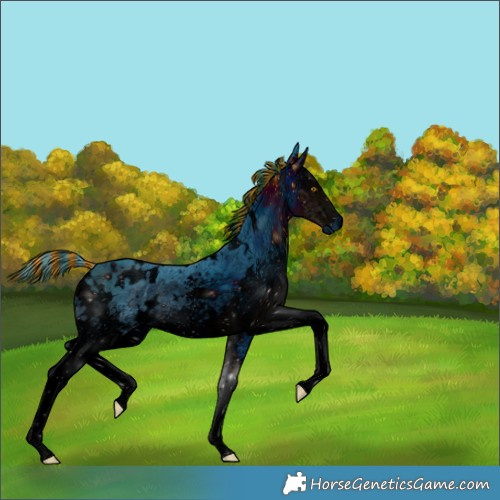 Horse Color:ERROR: UNKNOWN ANOMALY