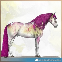 Horse Color:Plaid  White Spotted Liver Red Dun Onyx Tobiano Brindle 