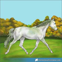 Horse Color:Watercolor Liver Red Dun Onyx Splash Tobiano Brindle 