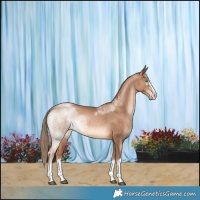 Horse Color:Liver Chestnut Pearl 