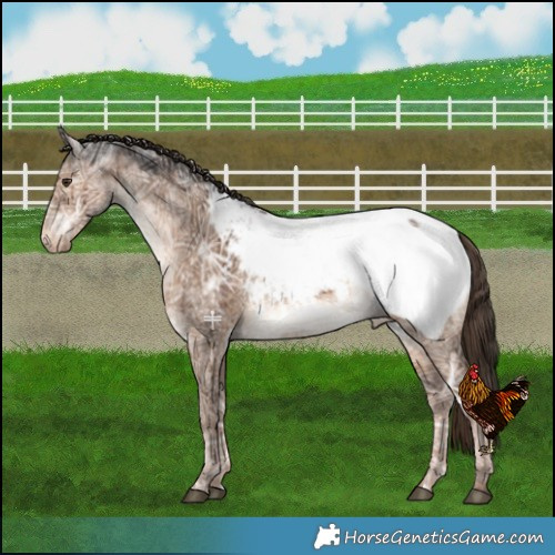 Horse Color:Liver Red Dun Ice Near Fewspot Brindle 