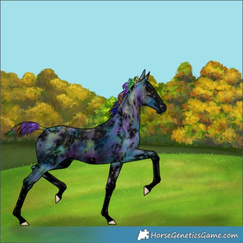 Horse Color:ERROR: UNKNOWN ANOMALY
