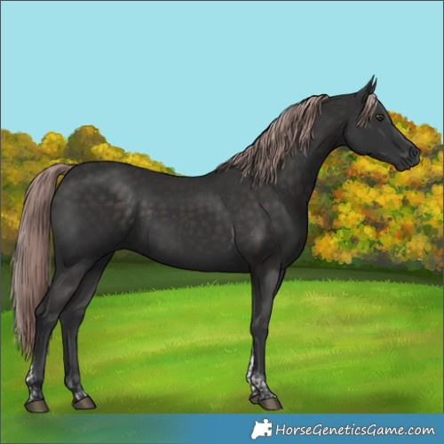 Horse Color:Platinum Liver Chestnut Tobiano Rabicano 