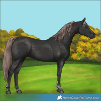 Horse Color:Platinum Liver Chestnut Tobiano Rabicano 