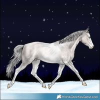 Horse Color:Platinum Chocolate Palomino Pearl Sabino Tobiano Rabicano