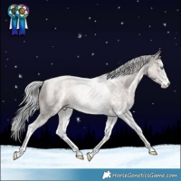 Horse Color:Platinum Chocolate Palomino Pearl Sabino Tobiano Rabicano 
