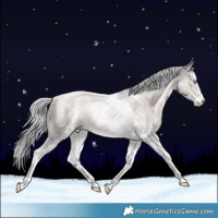 Horse Color:Platinum Chocolate Palomino Pearl Sabino Tobiano Rabicano 