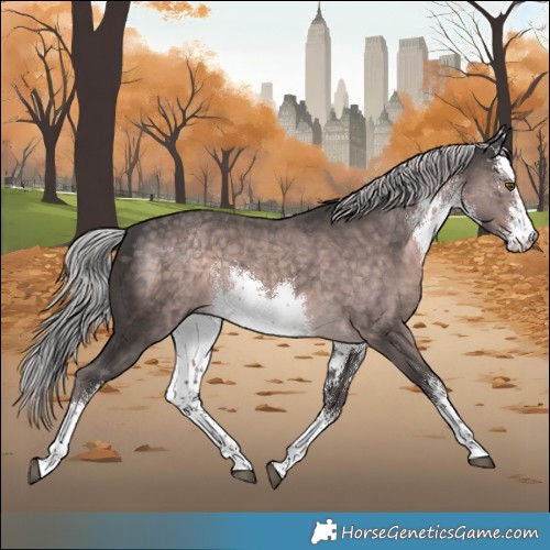 Horse Color:Platinum White Spotted Chocolate Palomino Rabicano 