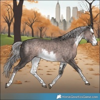 Horse Color:Platinum White Spotted Chocolate Palomino Rabicano