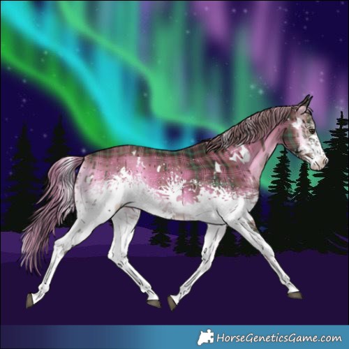 Horse Color:Plaid  White Spotted Liver Red Onyx 