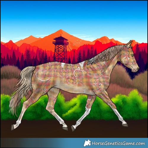 Horse Color:Plaid  Chocolate Palomino Ice Tobiano Rabicano 