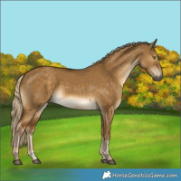 Horse Color:Chocolate Palomino Dun 