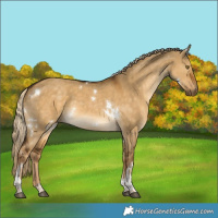 Horse Color:White Spotted Chocolate Palomino Dun Tobiano Rabicano 