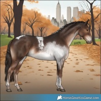 Horse Color:Liver Chestnut Tobiano 