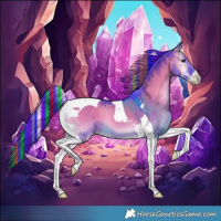 Horse Color:Painted Watercolor Liver Red Dun Onyx Sabino Tobiano 