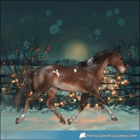 Horse Color:White Spotted Liver Chestnut Tobiano
