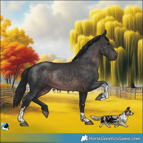 Horse Color:Platinum Brown Tobiano