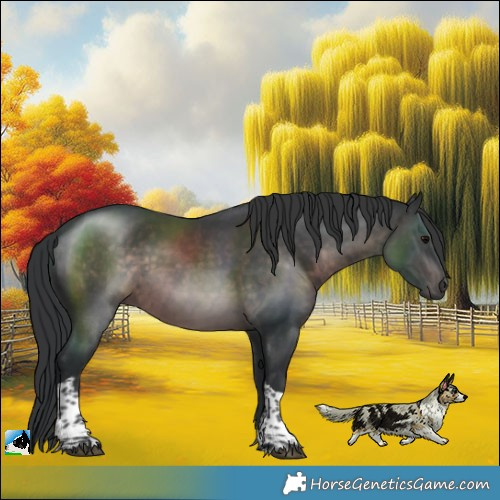 Horse Color:Platinum Brown Tobiano 
