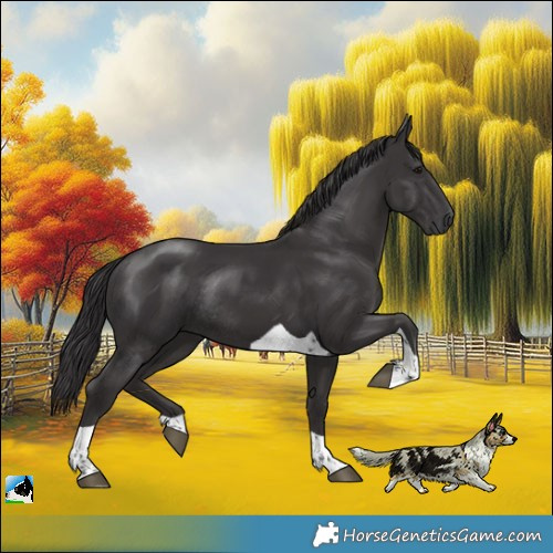 Horse Color:Platinum Smoky Black Tobiano Rabicano 