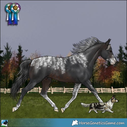 Horse Color:Powder White Brown Rabicano 