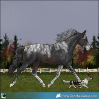 Horse Color:Powder White Brown Rabicano 