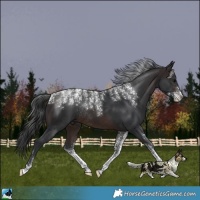Horse Color:Powder White Brown Rabicano