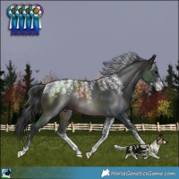 Horse Color:Powder White Brown Rabicano 