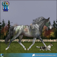 Horse Color:Powder White Brown Rabicano