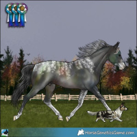 Horse Color:Powder White Brown Rabicano