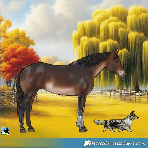 Horse Color:Brown Tobiano Rabicano 