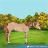 Horse Color:Red Dun 