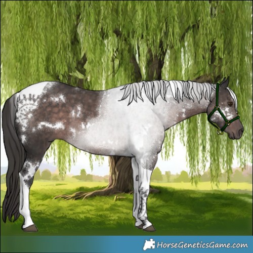 Horse Color:Platinum White Spotted Liver Chestnut Tobiano 