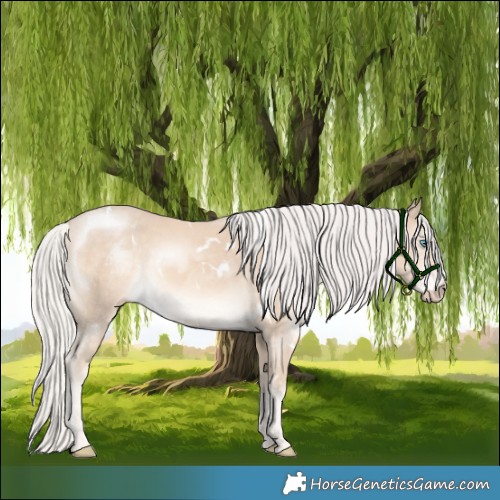 Horse Color:White Spotted Cremello Mushroom