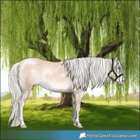 Horse Color:White Spotted Cremello Mushroom 