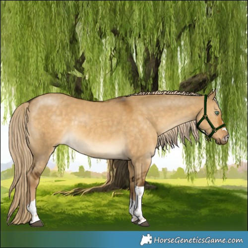 Horse Color:Chocolate Palomino Dun Mushroom Tobiano 