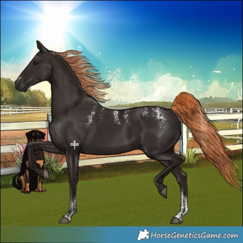 Horse Color:Powder White Liver Chestnut