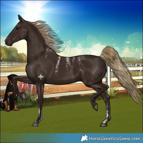 Horse Color:Powder White Liver Chestnut