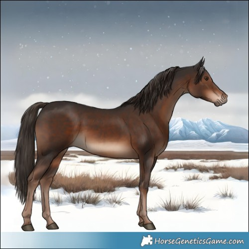 Horse Color:White Spotted Liver Chestnut 