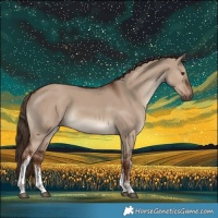 Horse Color:White Spotted Liver Red Dun 