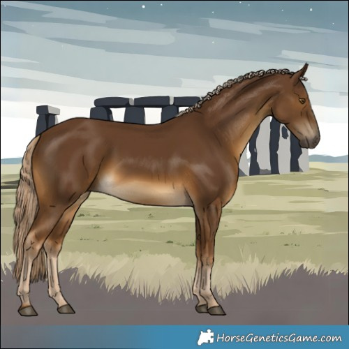 Horse Color:White Spotted Chocolate Palomino