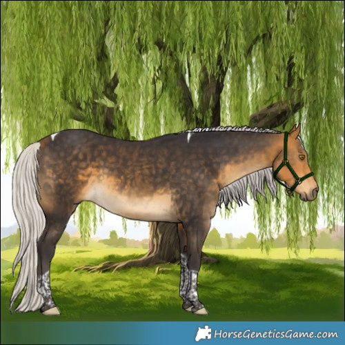 Horse Color:Silver Buckskin Tobiano 