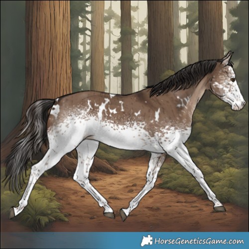 Horse Color:White Spotted Liver Red Dun Brindle 