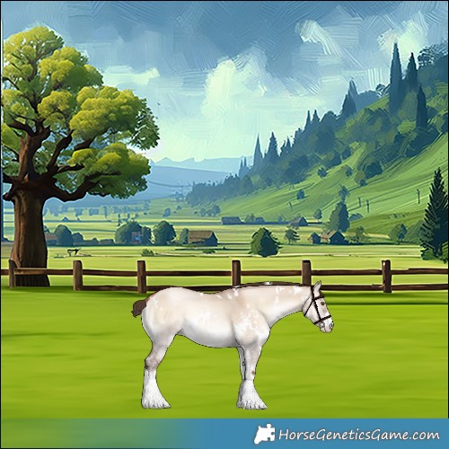 Horse Color:White Spotted Liver Red Dun Pearl Onyx Sabino